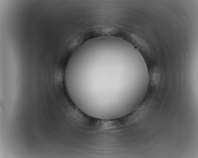 X0000115680472200911191057