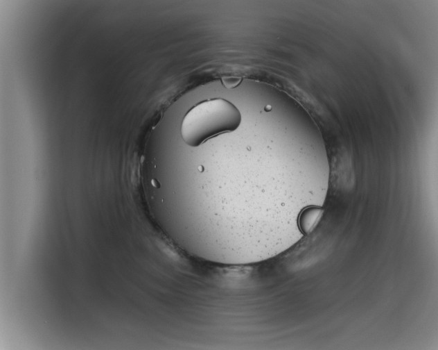 X0000115680474200911191057