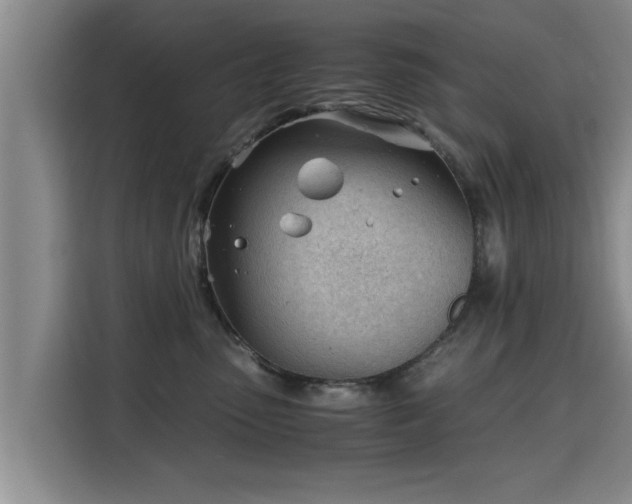 X0000115680475200911191057