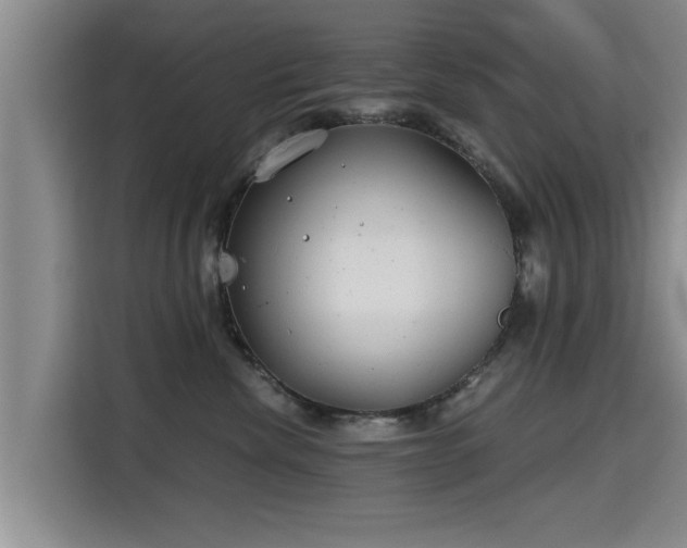 X0000115680476200911191057