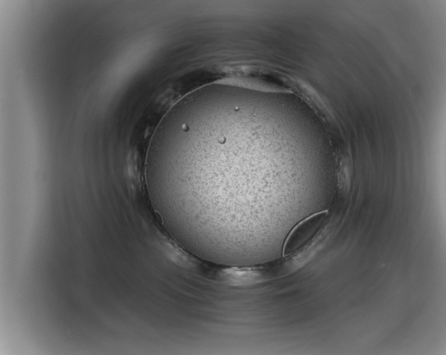 X0000115680477200911191057