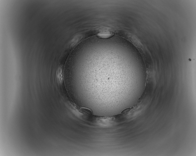 X0000115680479200911191057