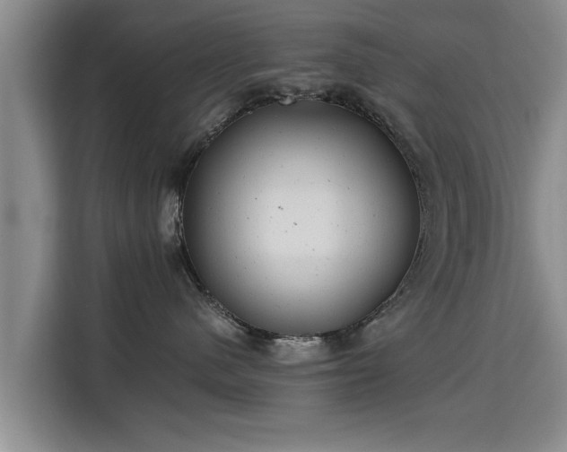 X0000115680480200911191057