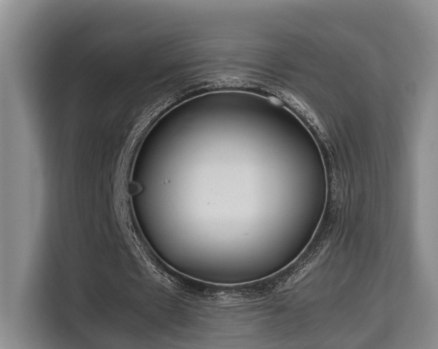 X0000115680481200911191057