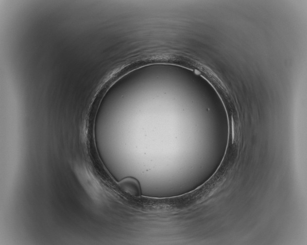 X0000115680483200911191057