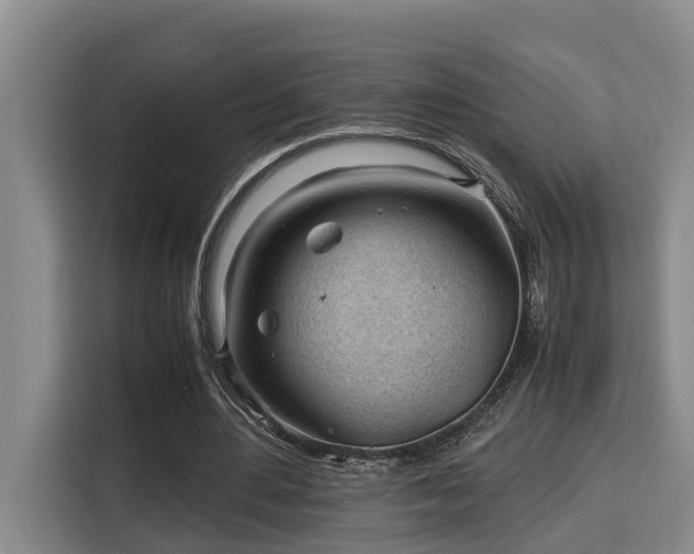 X0000115680484200911191057