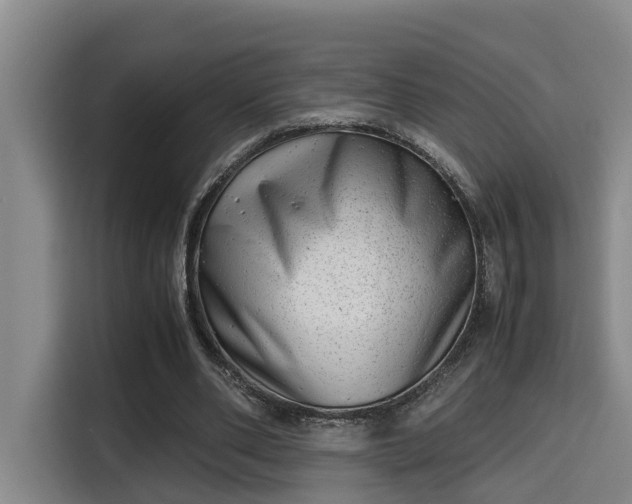 X0000115680486200911191057