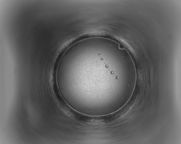 X0000115680487200911191057