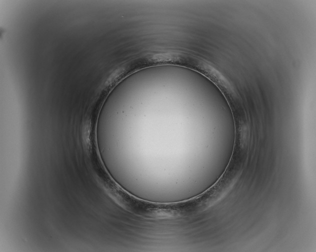 X0000115680490200911191057