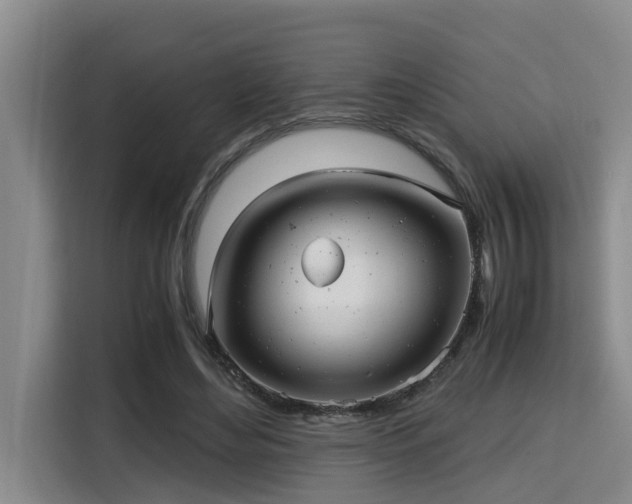 X0000115680492200911191057