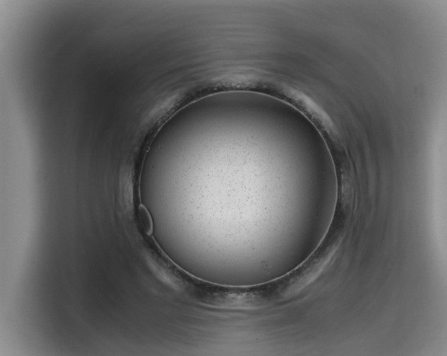 X0000115680493200911191057