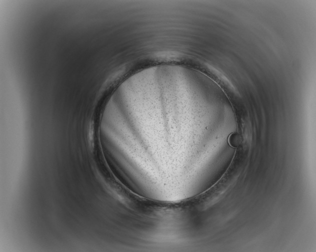 X0000115680494200911191057