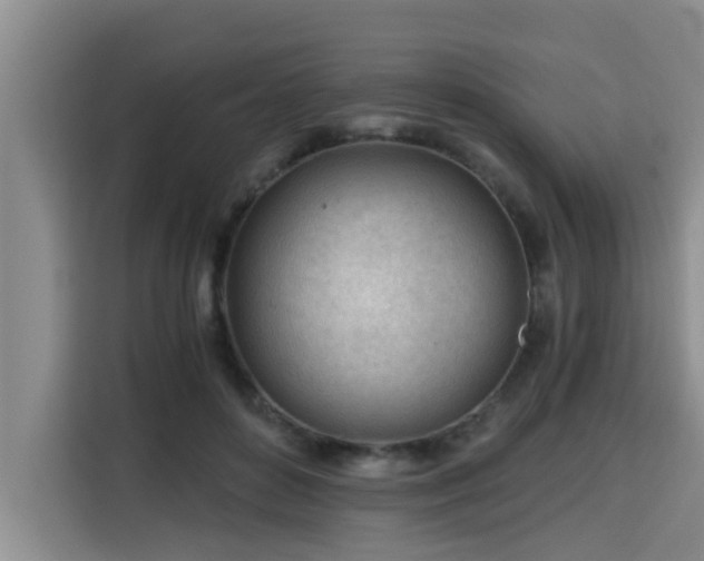 X0000115680504200911191056