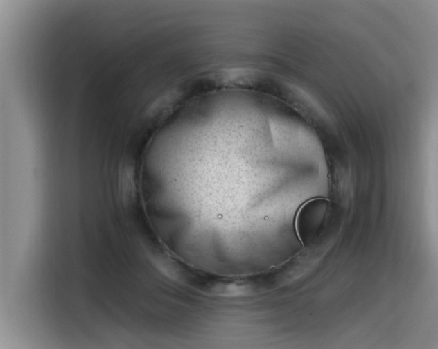 X0000115680506200911191056