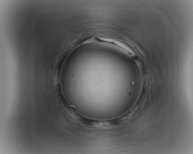 X0000115680517200911191056