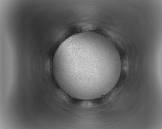 X0000115680519200911191056