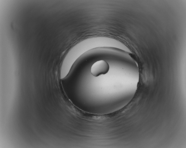 X0000115680520200911191056