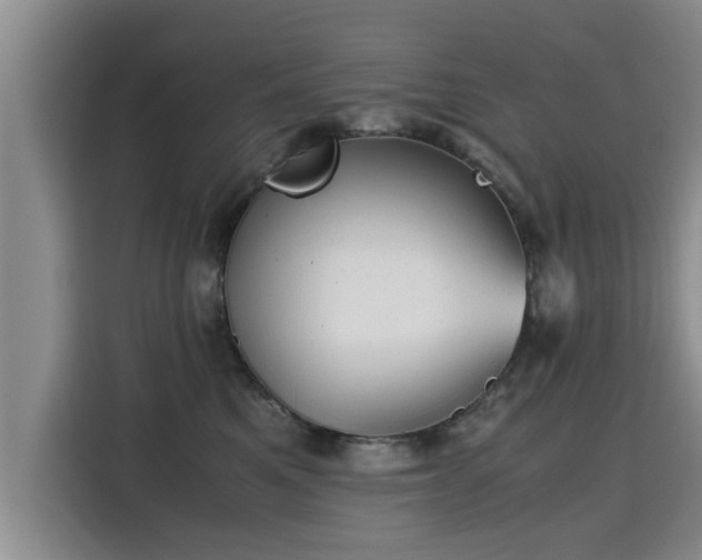 X0000115680521200911191056