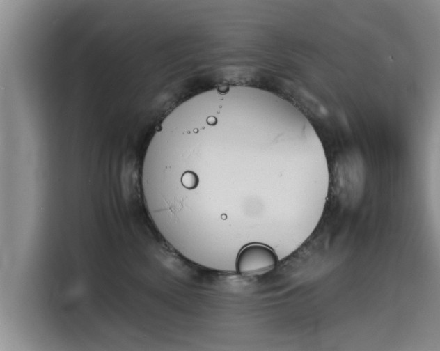 X0000115680522200911191056