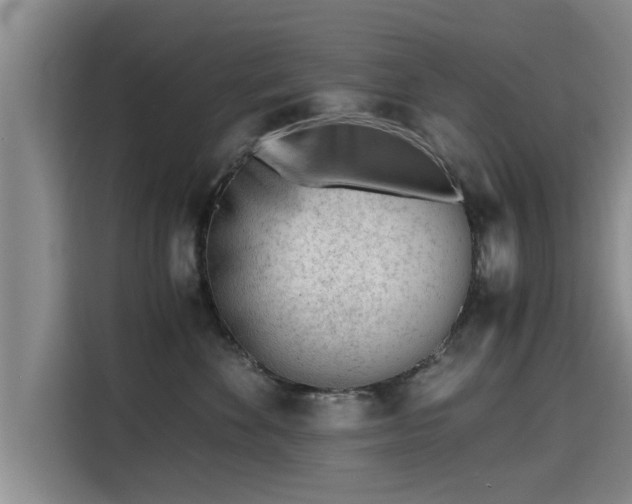 X0000115680524200911191056