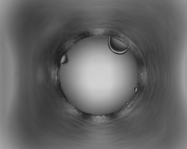 X0000115680525200911191056