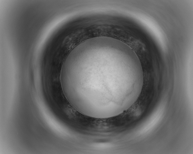 X0000115680526200911191056