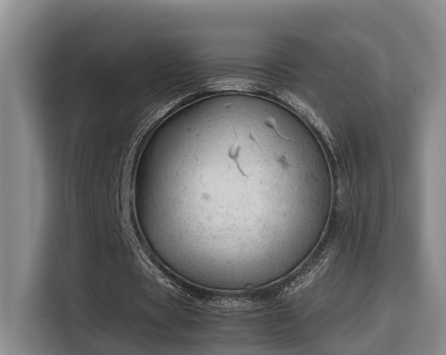 X0000115680529200911191055