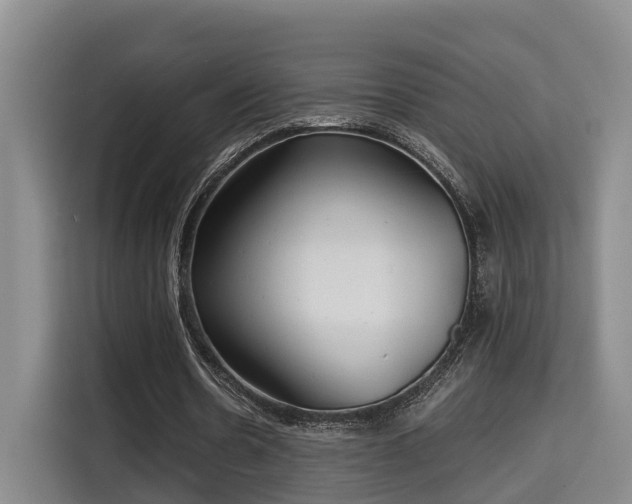 X0000115680530200911191056