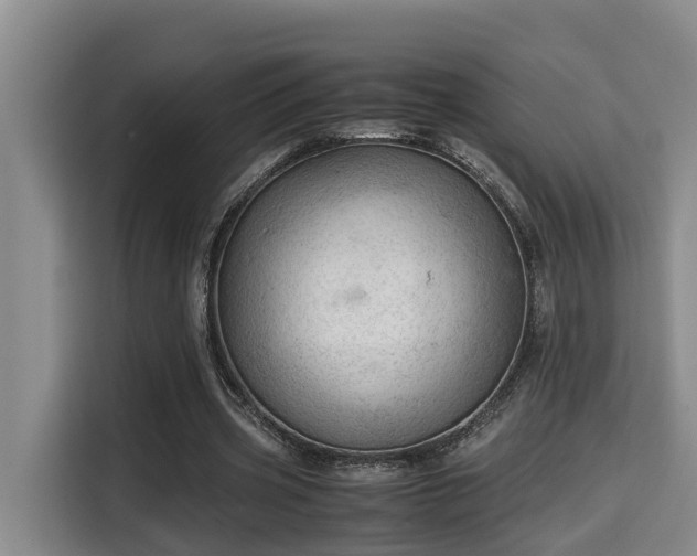 X0000115680533200911191056