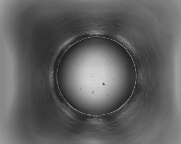 X0000115680535200911191056