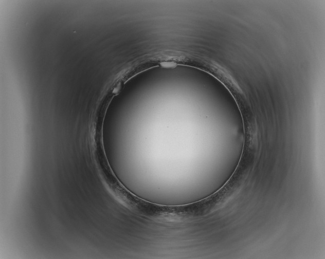 X0000115680538200911191056