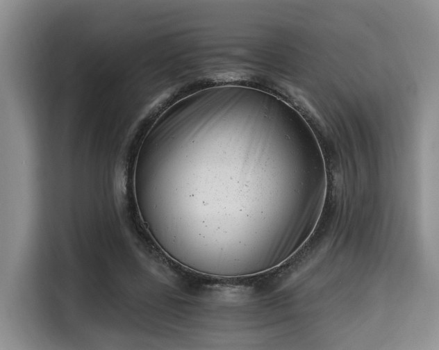 X0000115680539200911191056