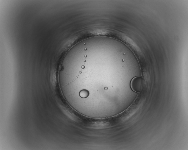 X0000115680541200911191056