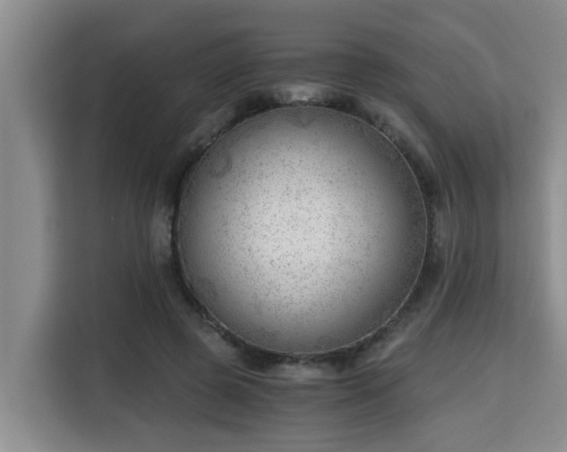 X0000115680545200911191056