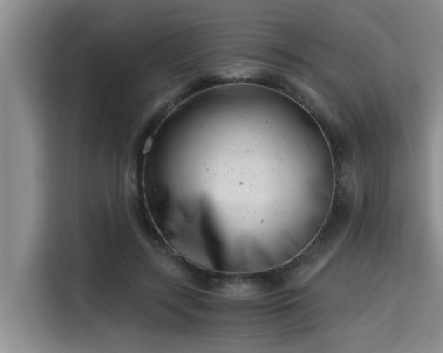 X0000115680547200911191056