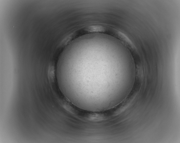 X0000115680549200911191056