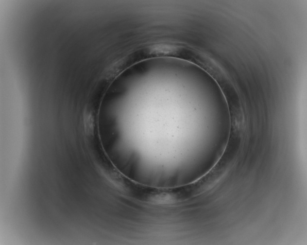 X0000115680551200911191056