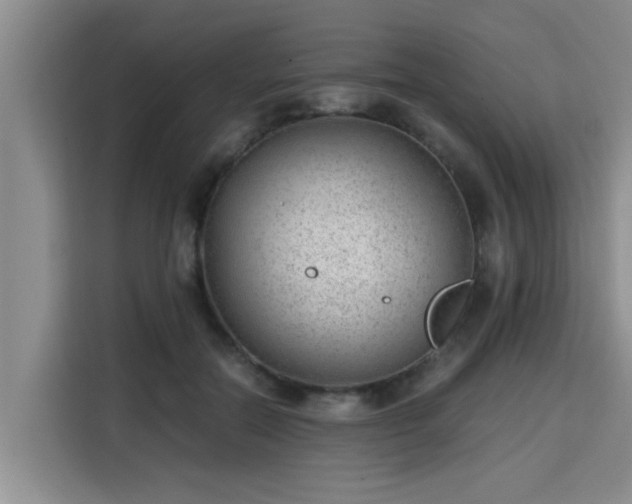 X0000115680554200911191056