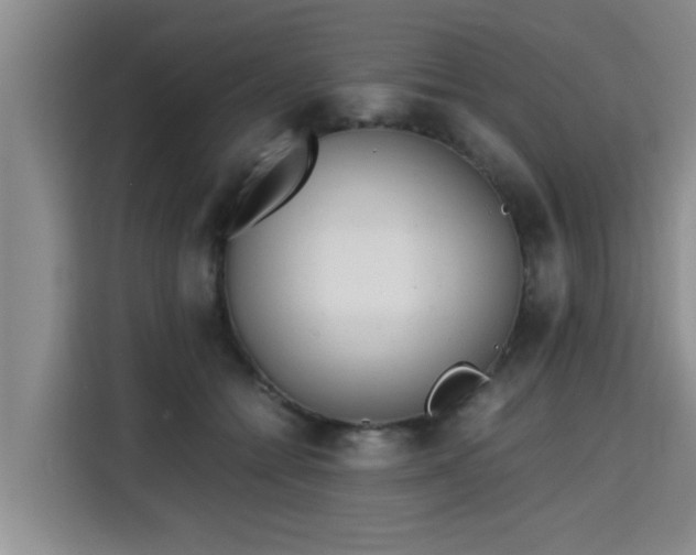 X0000115680558200911191056