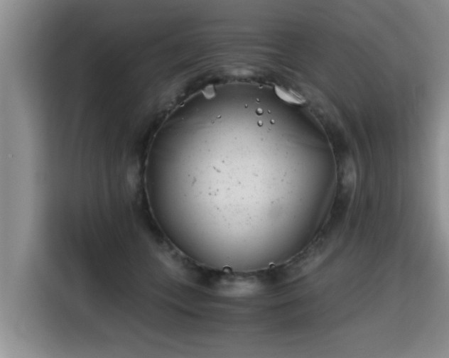 X0000115680559200911191056