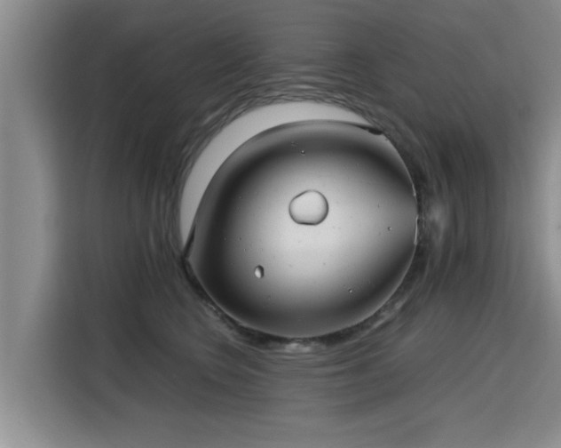 X0000115680566200911191056