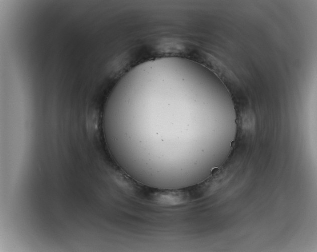 X0000115680567200911191056