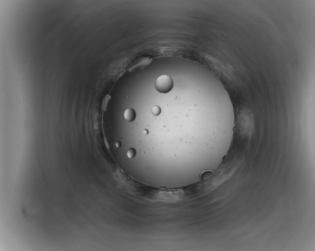 X0000115680571200911191056