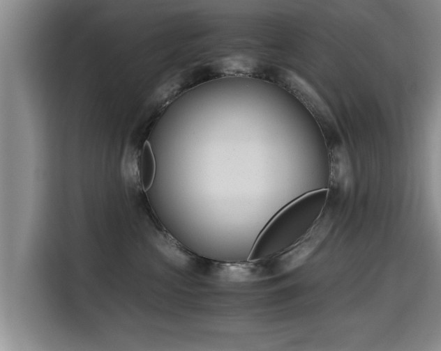 X0000115680573200911191056