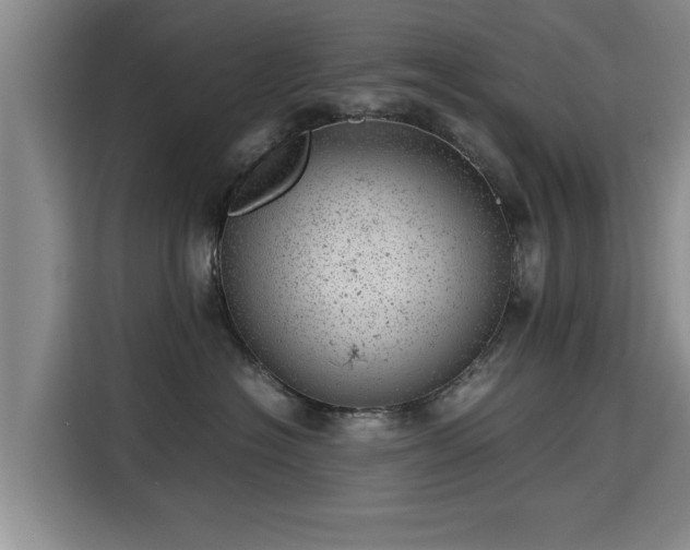 X0000115680574200911191056