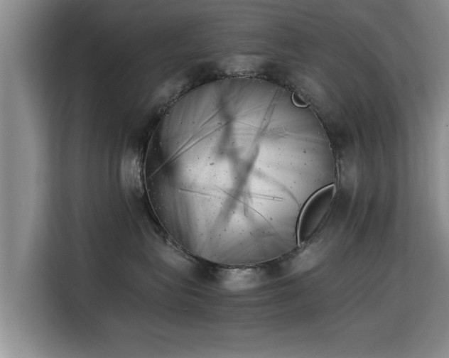 X0000115680575200911191056