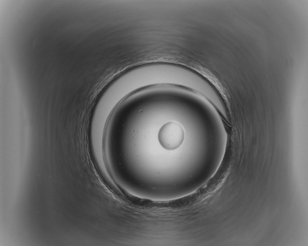 X0000115680577200911191055