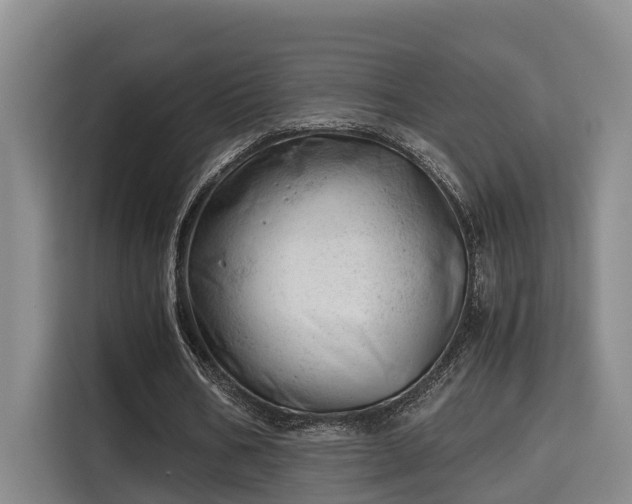 X0000115680578200911191055