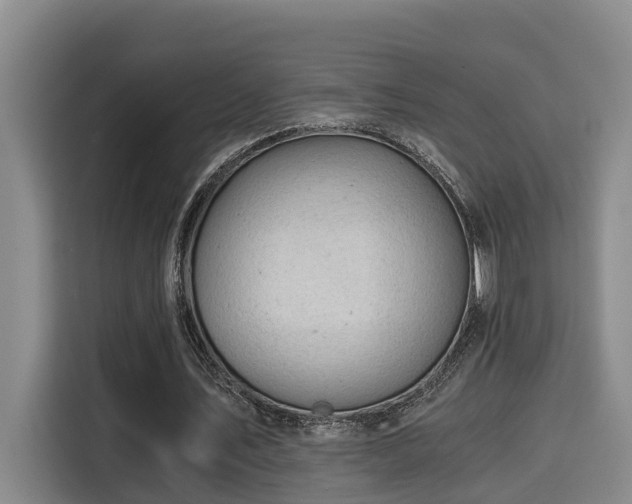 X0000115680579200911191055