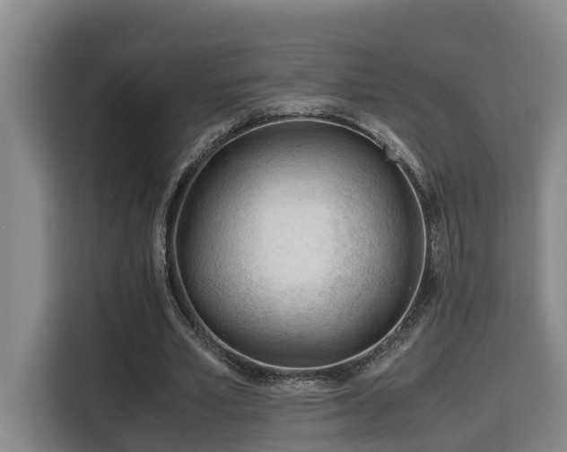 X0000115680581200911191055